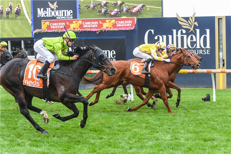 BLAZE A TRAIL (yellow silks) winning the Rod Fenwick Hcp at Caulfield in Australia.