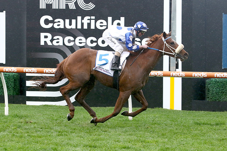 BOOGIE DANCER winning the Here For The Horses Thousand Guineas Prelude