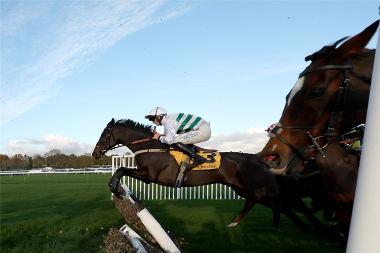 Botox Has and Caolin Quinn (white and green) on his way to winning The Betfair Exchange Stayes’ Handicap Hurdle