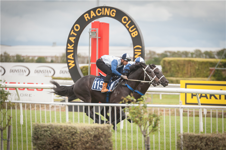 148 two-year-olds had the opportunity to gallop down the home straight of Waikato Racing Club.