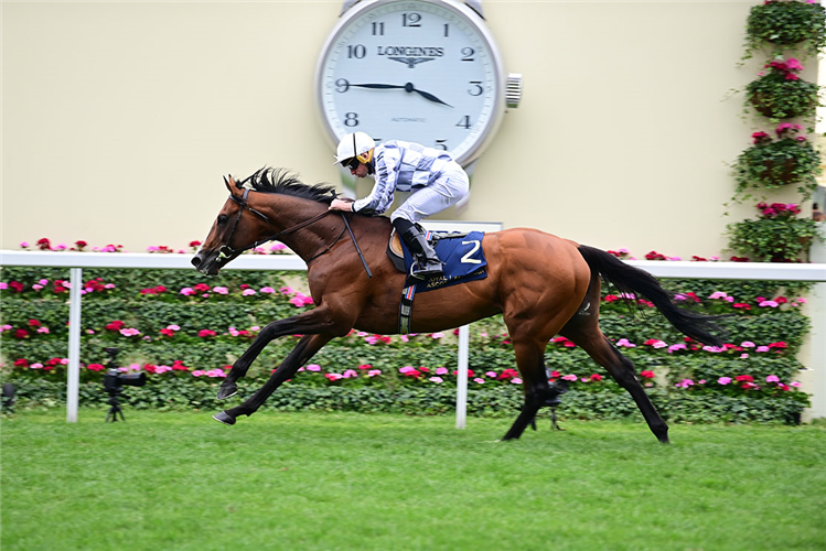 BROOME winning the Hardwicke Stakes at Royal Ascot in England.