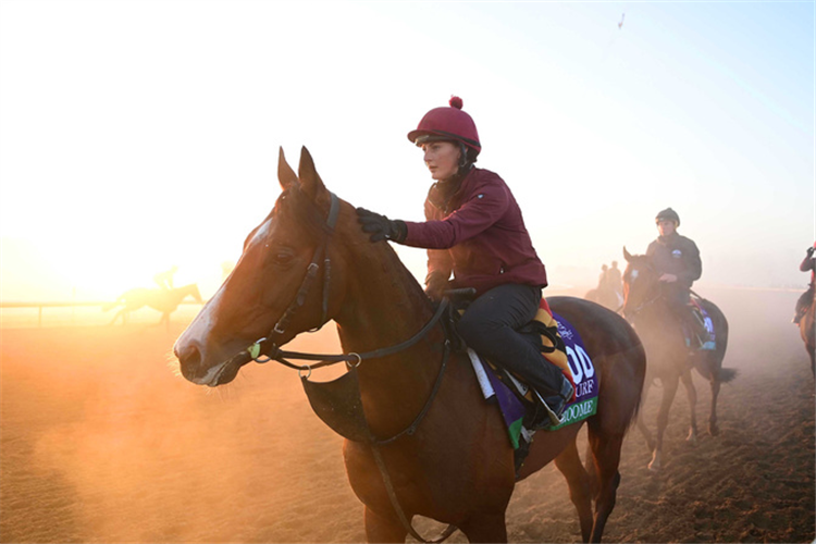 Broome and Rachael Richardson pictured at morning workout ahead of The Breeders Cup.