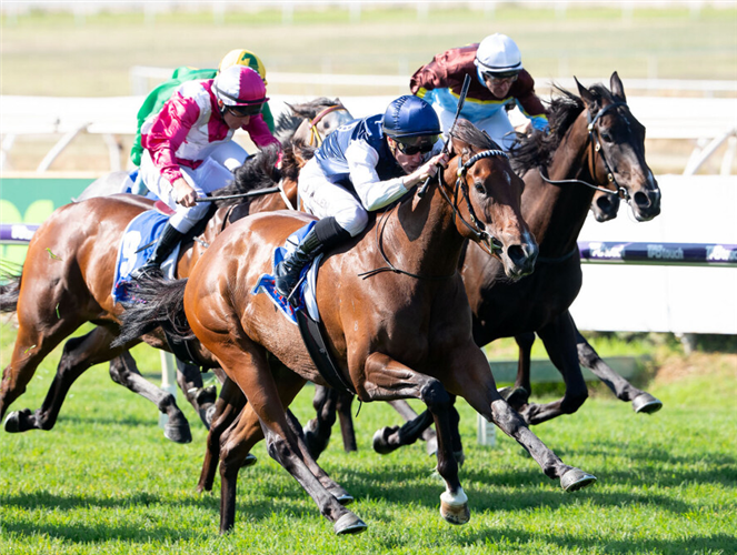 BUZZOOM winning the Ascend Trophies - Jungle Dawn Classic