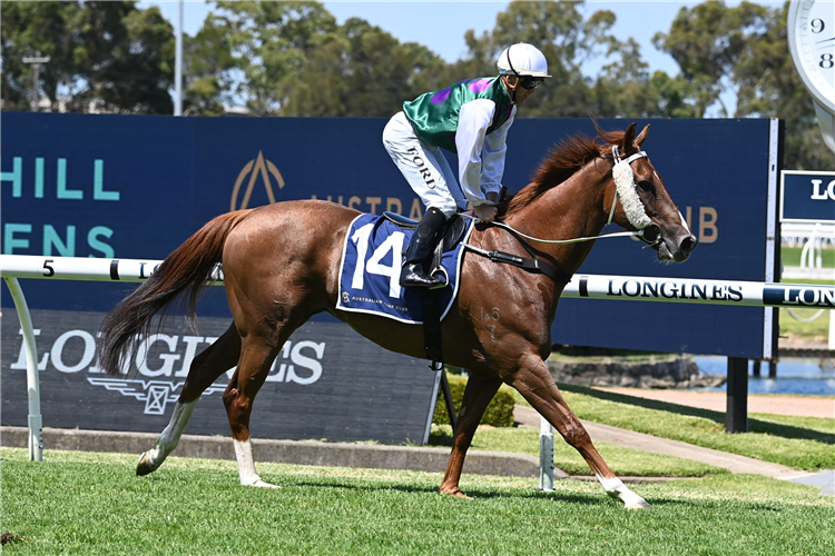 BYRON winning the Midway Handicap at Rosehill in Australia.