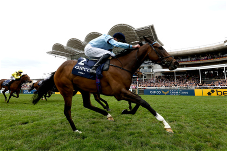 CACHET winning the Qipco 1000 Guineas Stakes (Fillies' Group 1) (British Champions Series)