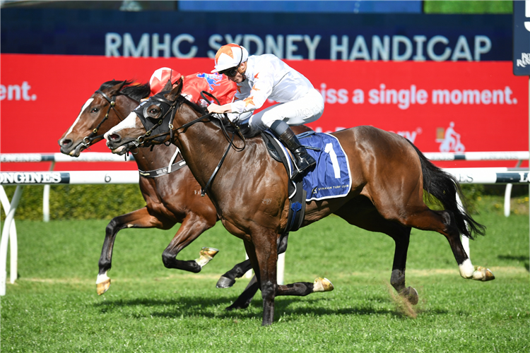 CADRE DU NOIR winning the Rmhc Sydney (Bm78) at Randwick in Australia.