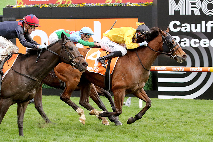 CALLSIGN MAV winning the Neds Sir Rupert Clarke Stakes