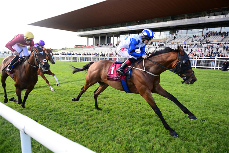 CAMORRA wins the Curragh Cup