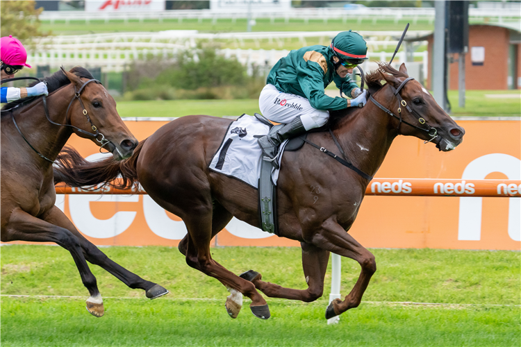 Redoute's Choice Stakes