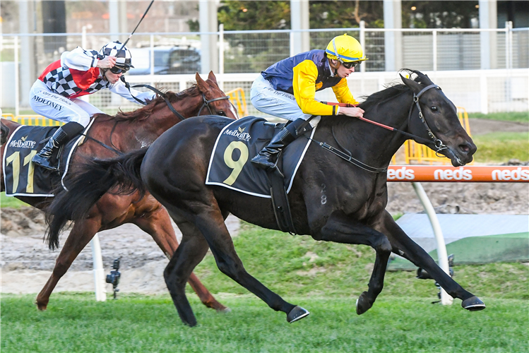 CARDINAL GEM winning the Stephen Howell Mem. Trophy Hcp at Caulfield in Australia.