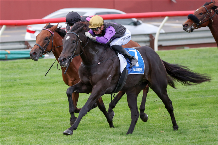 CARLISLE winning the Tile Importer Hcp at Sandown in Australia.