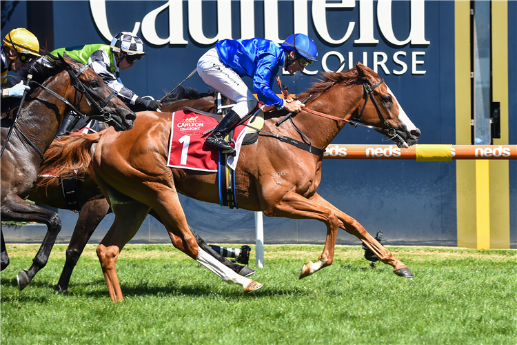CASCADIAN winning the Carlton Draught Peter Young at Caulfield in Australia.