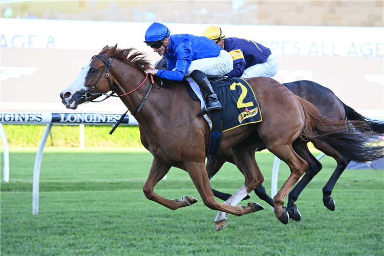 CASCADIAN winning the Schweppes All Aged Stakes at Randwick in Australia.