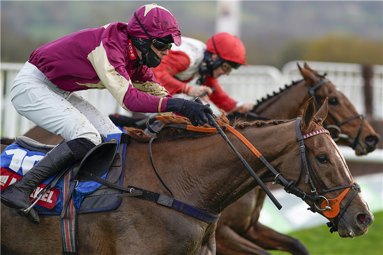 Castle Robin, who can improve on his sound record over fences by winning the Every Race Live On Racing TV Novices' Limited Handicap Chase at Wetherby.