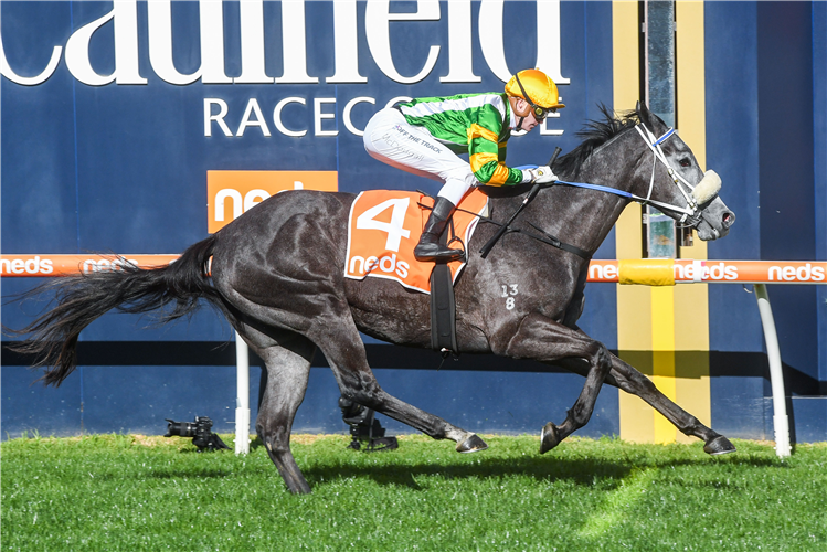 CHAIN OF LIGHTNING winning the Take It To The Neds Level Hcp at Caulfield in Australia.