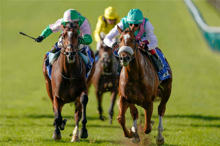 CHALDEAN (R) winning the Dewhurst Stakes at Newmarket in England.