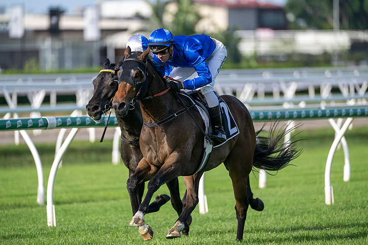 CHARACTER winning the Treasury Brisbane Qld Guineas