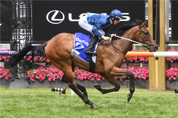 CHARM STONE winning the Darley Ottawa Stakes at Flemington in Australia.