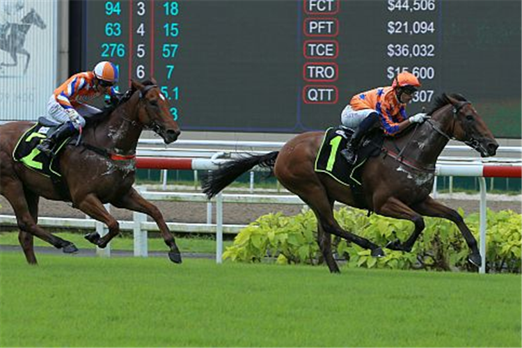CHARMINTON winning the SIAM BLUE VANDA 2020 STAKES RESTRICTED MAIDEN