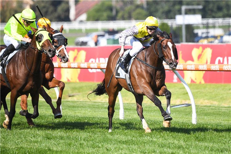 CHARTRES winning the VOBIS Sires Guineas at Caulfield in Australia.