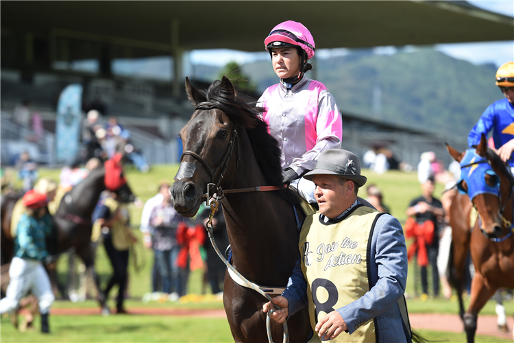 CHASE winning the RYDGES WELLINGTON CAPTAIN COOK STAKES