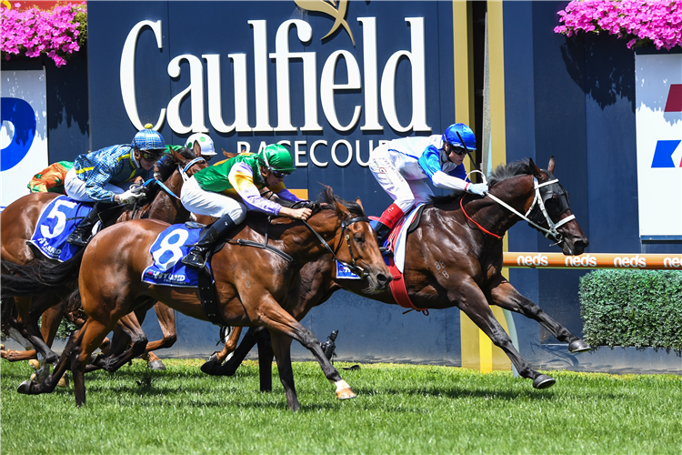 COASTWATCH winning the Autumn Stakes at Caulfield in Australia.