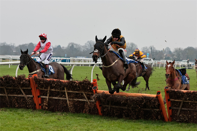 COBBLERS DREAM winning the Coral Lanzarote Handicap Hurdle (Listed) (GBB Race)