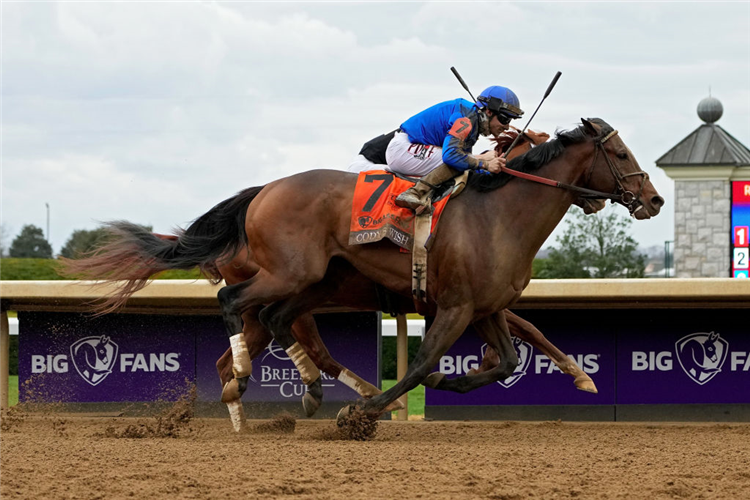 CODY'S WISH winning the Breeders' Cup Dirt Mile at Keeneland in Lexington, Kentucky.