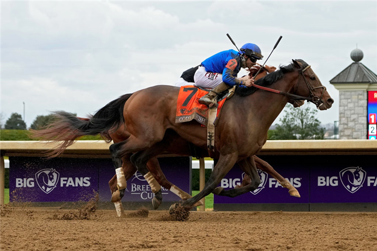 Cody's Wish runs emotional last race in Breeders' Cup at Santa