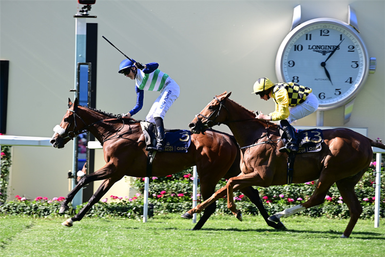 COLTRANE winning the Ascot Stakes at Royal Ascot in England.