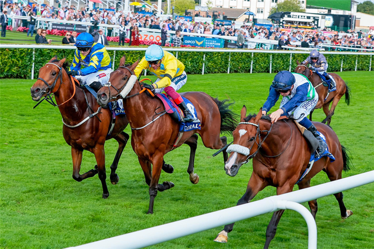 COLTRANE( right) winning the Coral Doncaster Cup Stakes (Group 2) (British Champions Series).