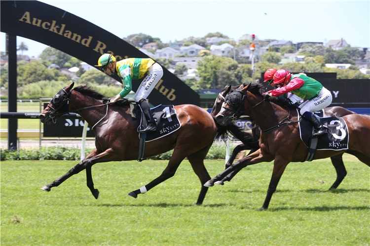 CONCERT HALL winning the Skycity City Of Auckland Cup