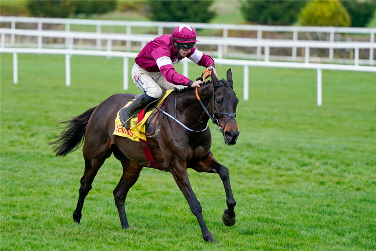 CONFLATED winning the Savills Chase at Leopardstown in Dublin, Ireland.