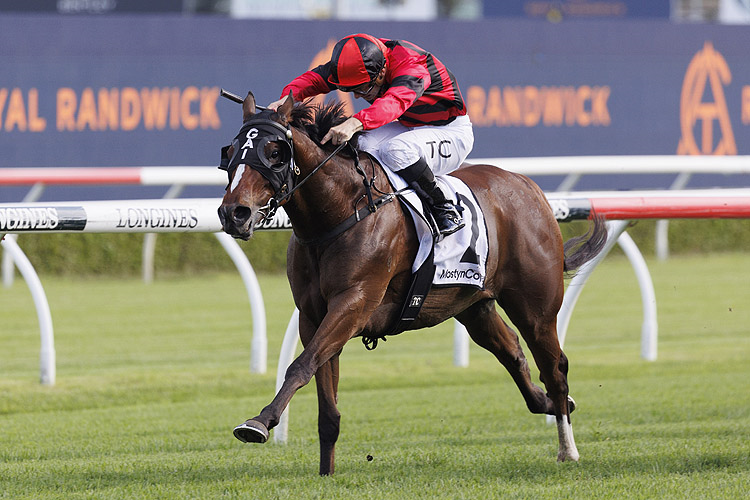 CONVERGE winning the Mostyn Copper Randwick Guineas