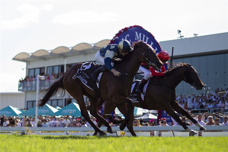 COOLANGATTA winning the The Star Magic Millions 2yo Classic at Gold Coast in Australia.