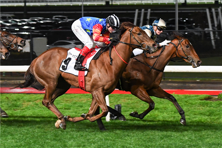 COOLANGATTA (inside) winning the Charter Keck Cramer Moir Stakes at Moonee Valley in Moonee Ponds, Australia.