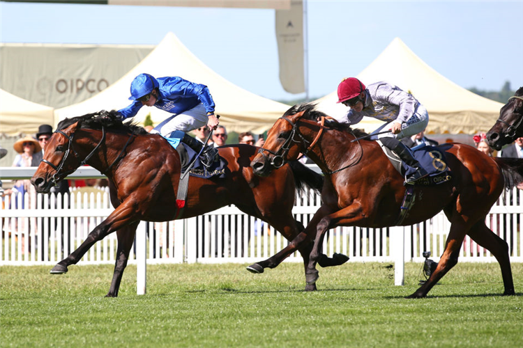 COROEBUS winning the St James's Palace Stakes at Royal Ascot in England.