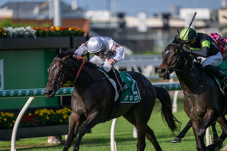 COUNT DE RUPEE winning the Tab Victory Stakes