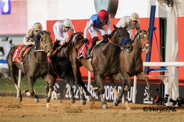 COUNTRY GRAMMER winning the Dubai World Cup.