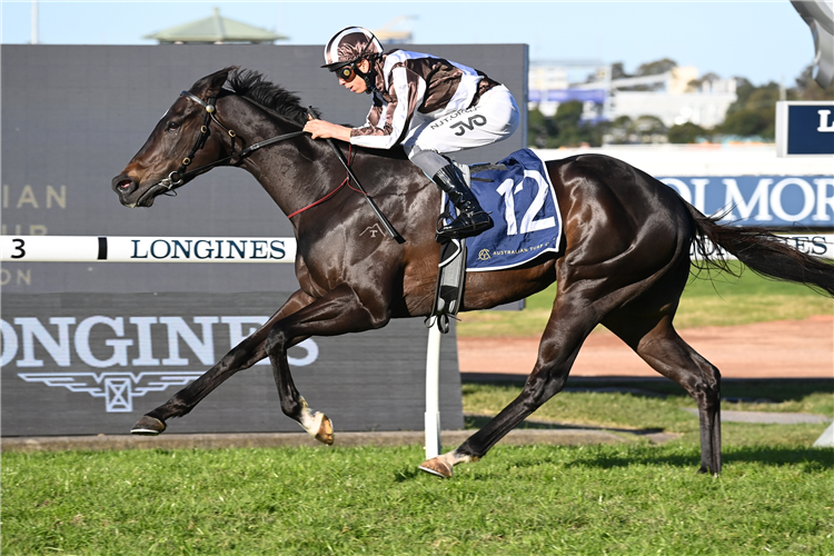 CROSS TALK winning the Atc Found. Winter Challenge at Rosehill in Australia.