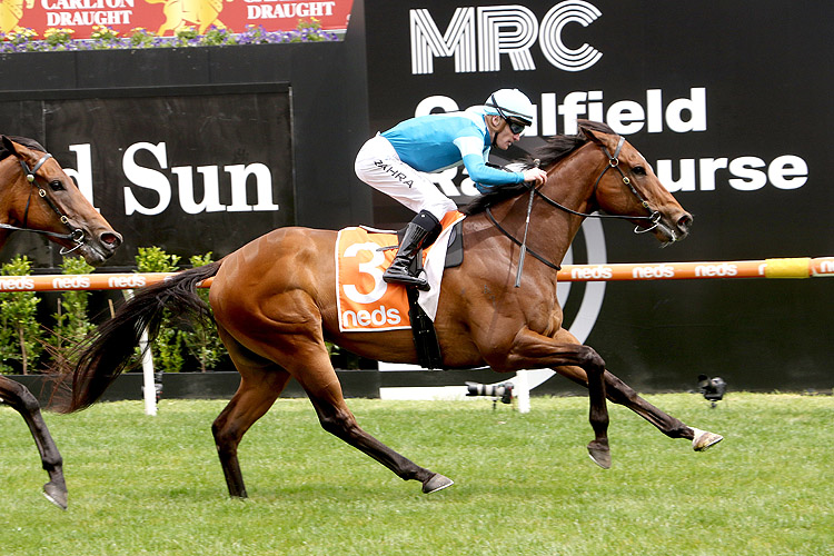 The Melbourne Mail: Caulfield – Saturday 18th Of November 2023 | Racing ...