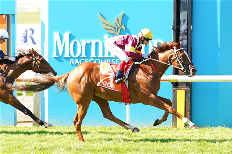 Crystal Pegasus winning the Mornington Cup at Mornington in Australia.