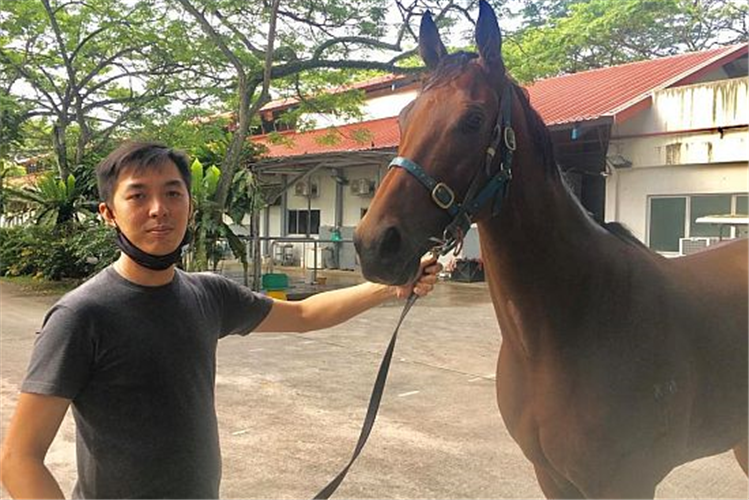 Trainer Jason Lim poses with Crystal Warrior before he is led to the vets for his amino acids recovery.