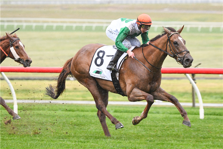 CUBAN LINK winning the Fierce Impact ? Made For Your Mare at Ladbrokes Park Lakeside in Springvale, Australia.