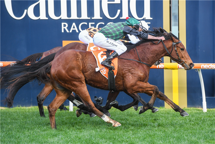 D'AGUILAR winning the Neds Whatever You Bet On Qlty at Caulfield in Australia.