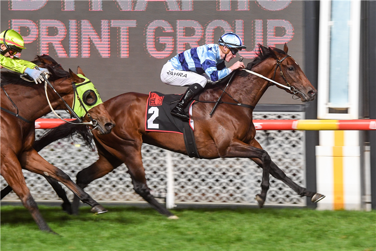DAISIES winning the Alexandra Stakes at Moonee Valley in Australia.