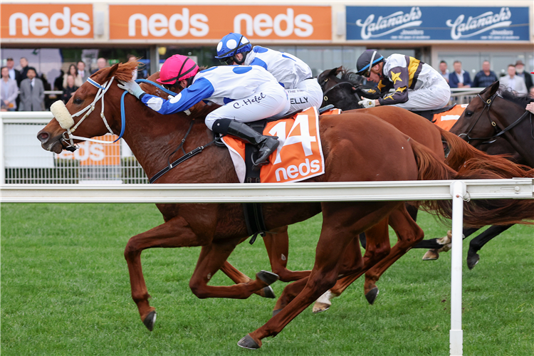 DANCE TO DUBAI winning the JRA Hcp at Caulfield in Australia.