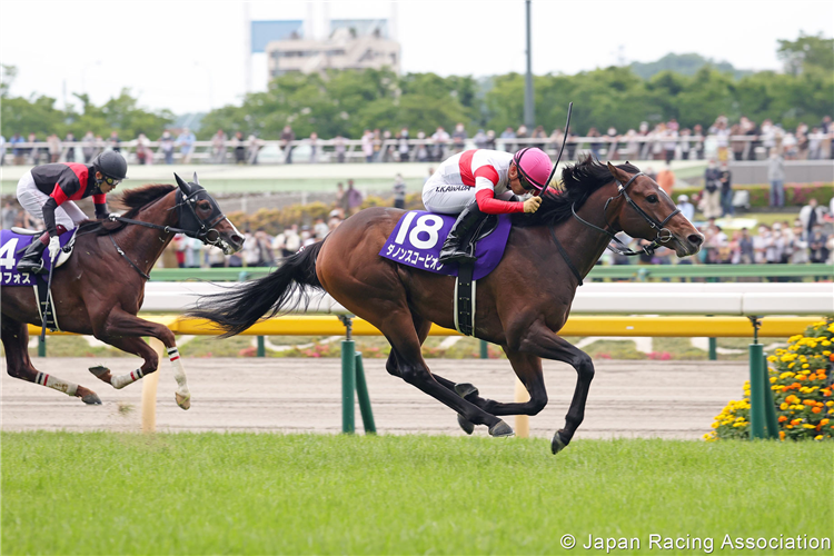 DANON SCORPION winning the NHK Mile Cup at Tokyo in Japan.