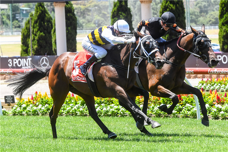 DAQIANSWEET JUNIOR winning the Mirasan.Com Hcp at Moonee Valley in Australia.