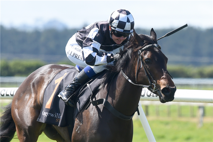 Darci La Bella primed for Foxbridge Plate